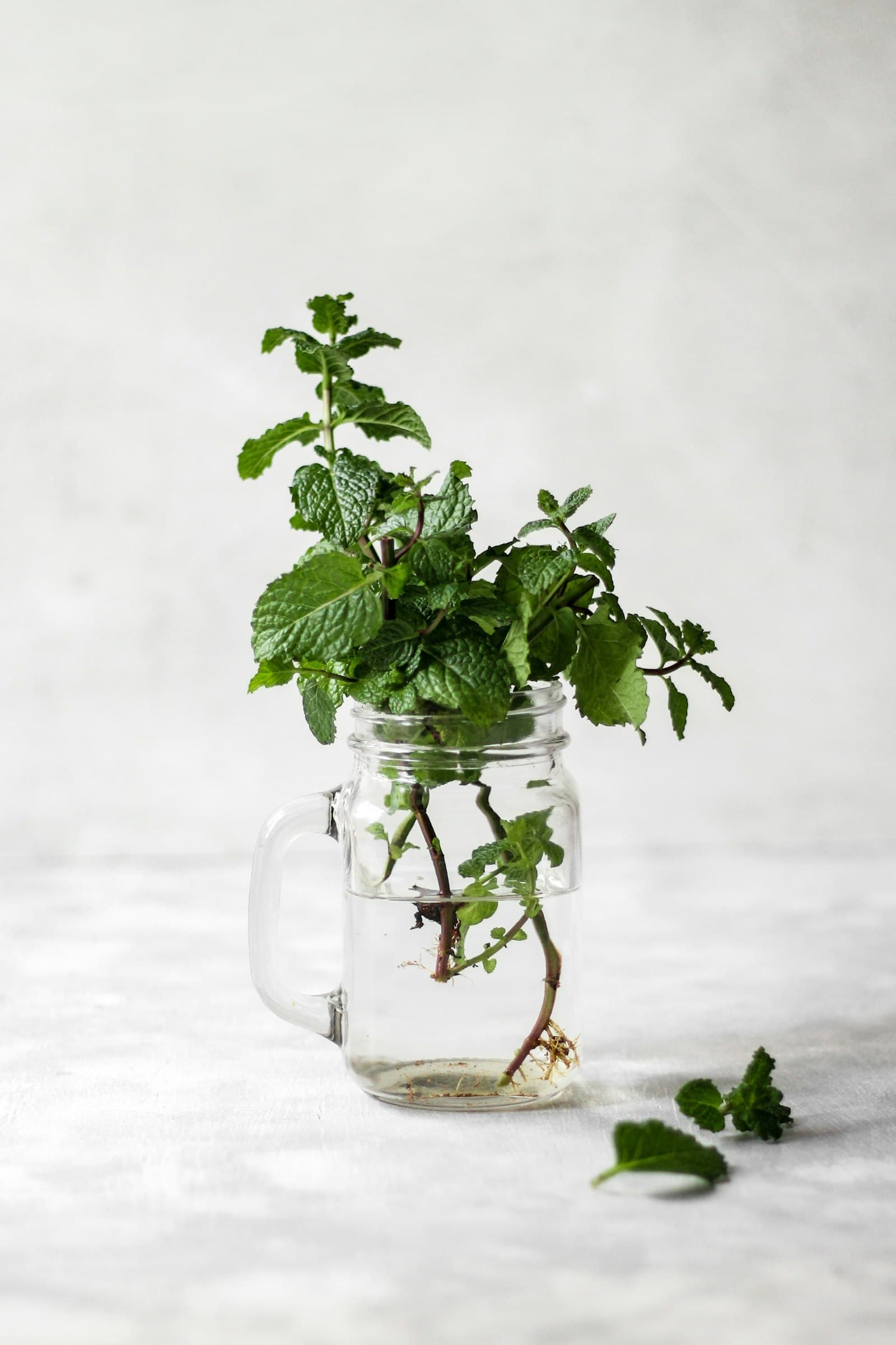 Fresh mint in a glass jar on a pale linen surface